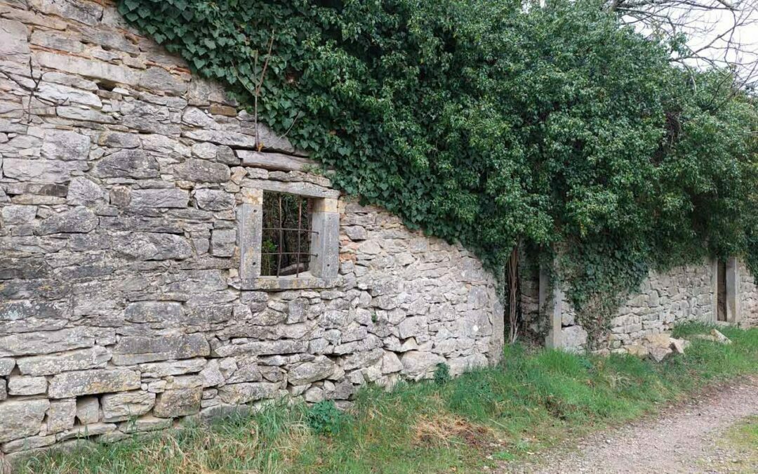 Hum okolica – ruševina