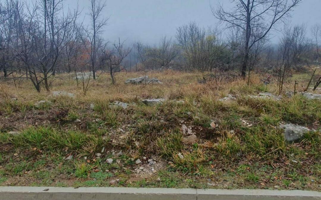 Lupoglav – industrijska zona – poljoprivredno zemljište