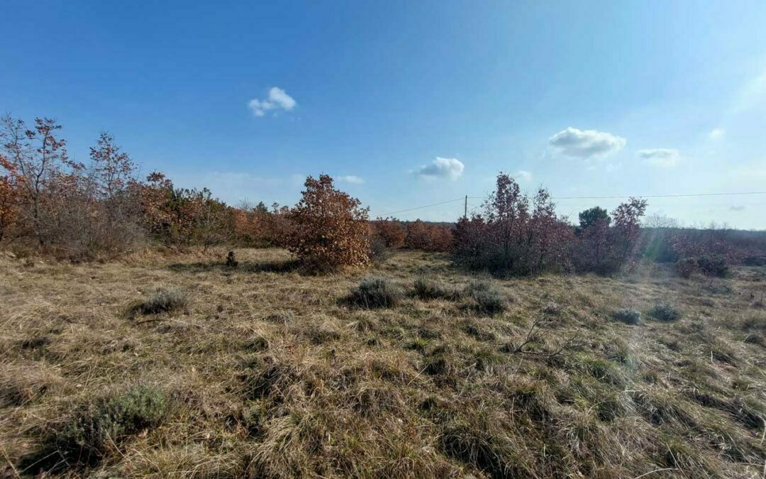 Majmajola – poljoprivredno zemljište