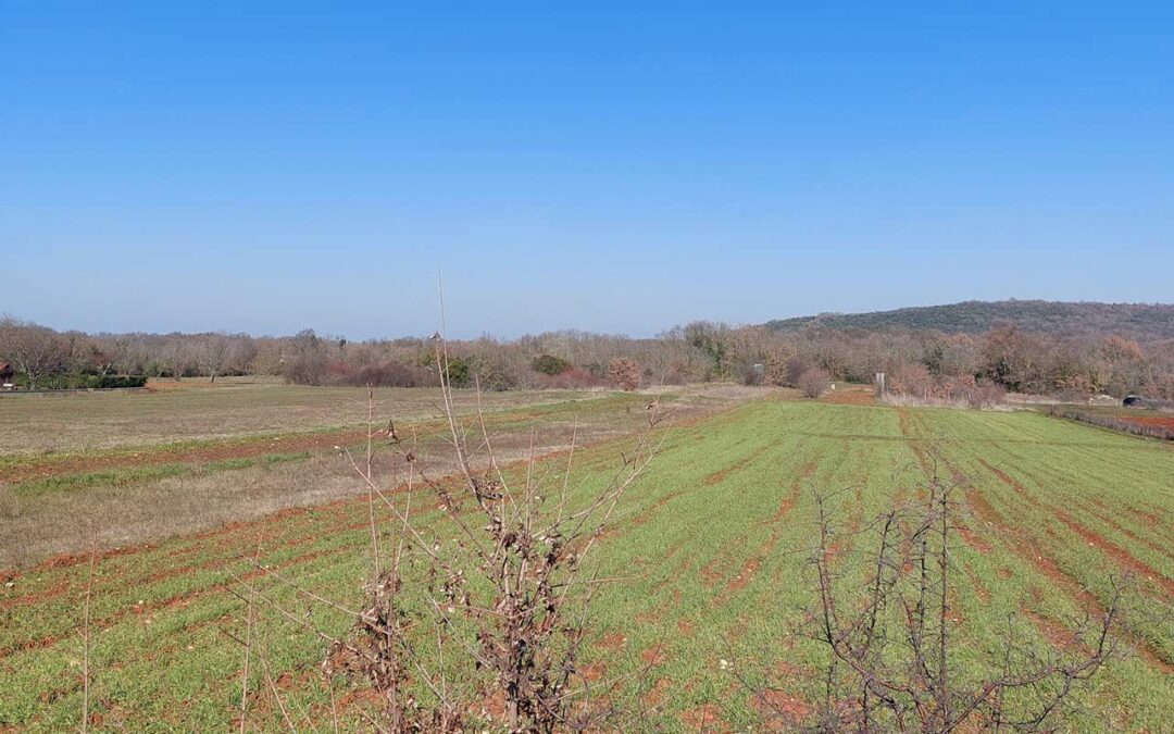 Rovinjsko selo – poljoprivredno zemljište