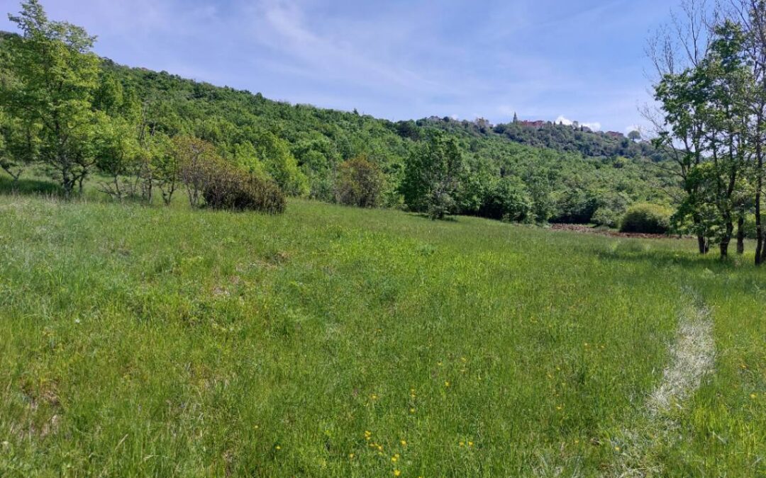 Oranica – okolica Roča