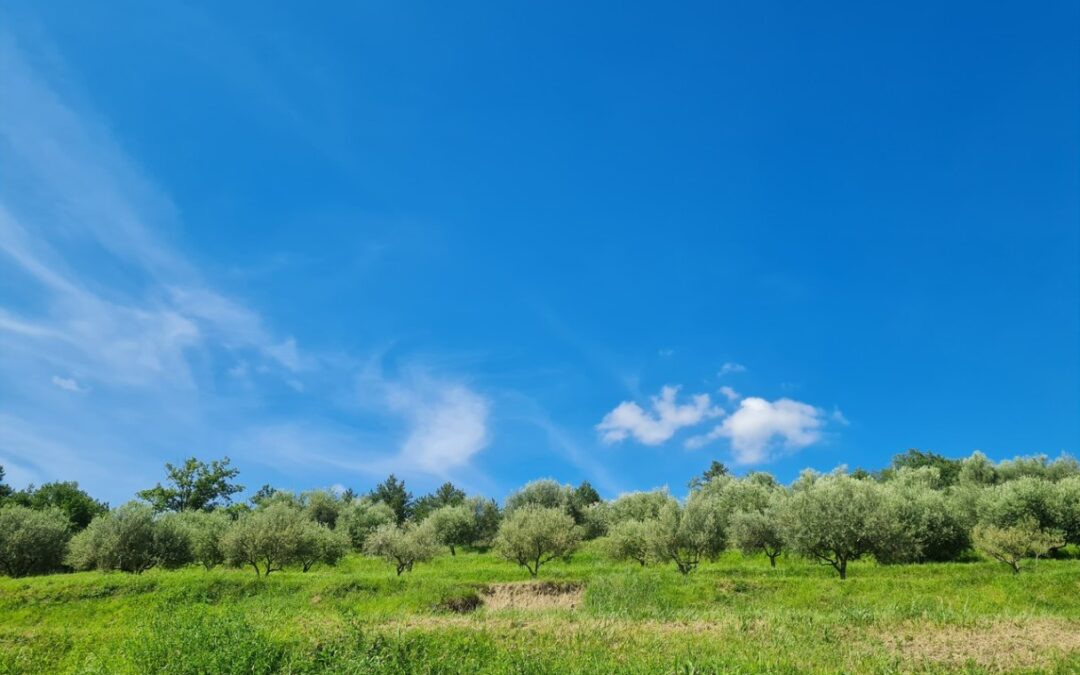 Buzet okolica – građevinsko zemljište