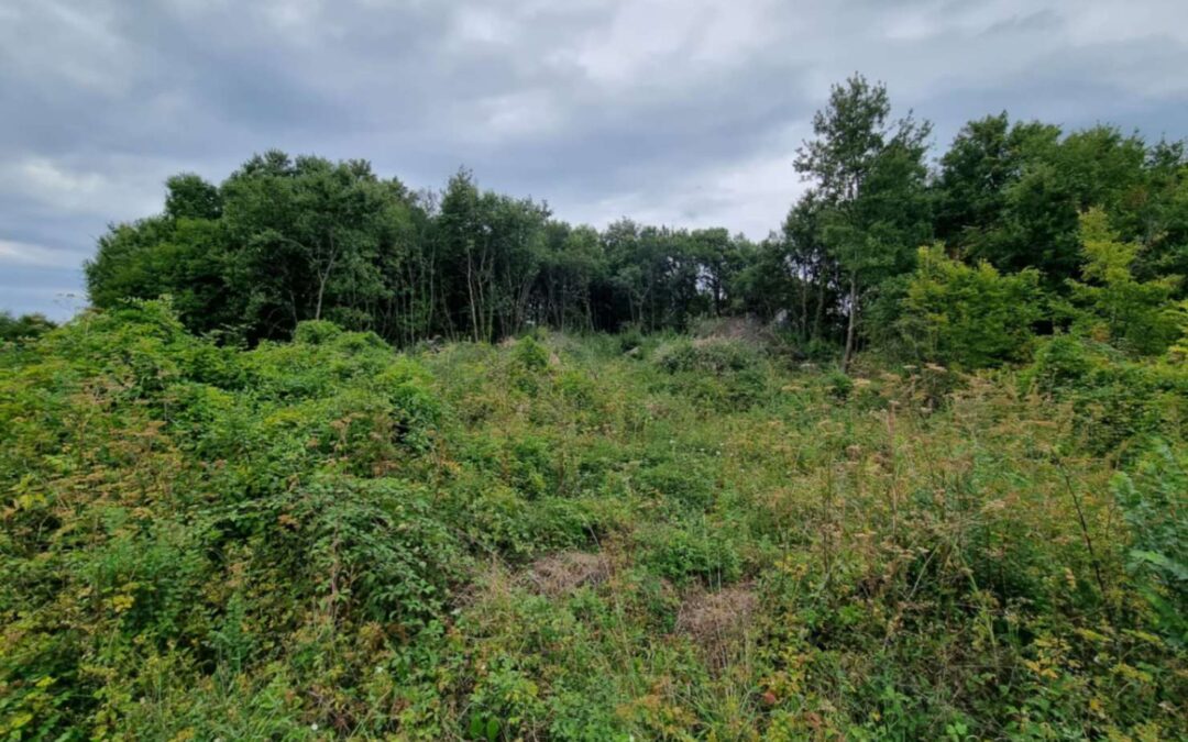 Gračišće – građevinsko zemljište