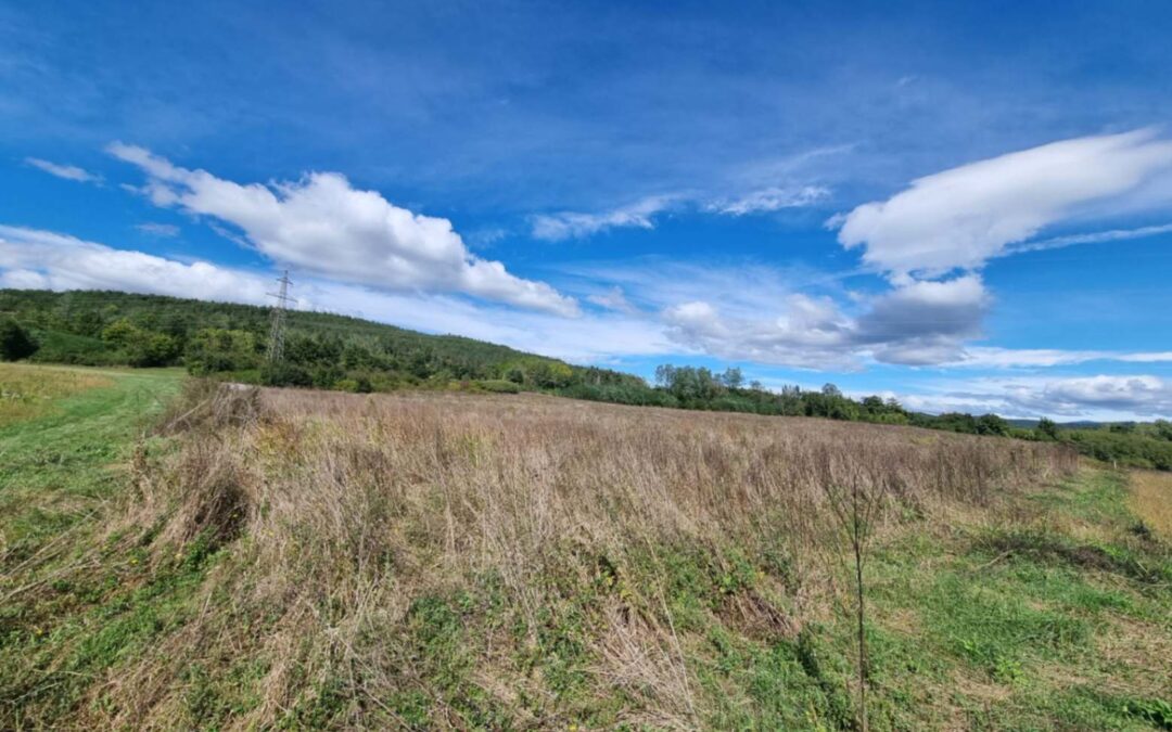 Pazin – građevinsko zemljište