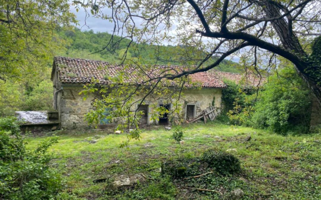 Roč – starina s velikom okućnicom