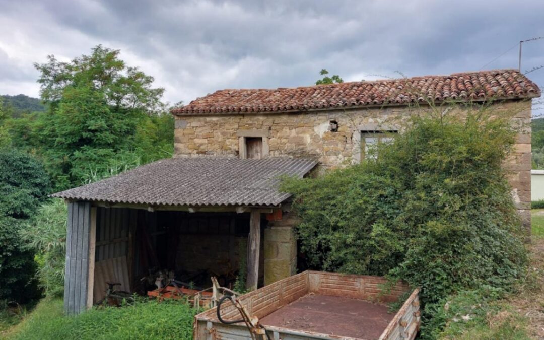 Buzet – kamena kuća s konobom i okućnicom