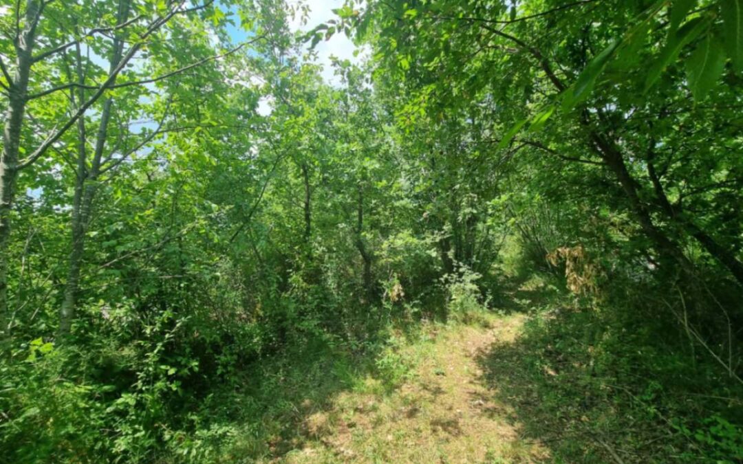 Hum – poljoprivredna zemljišta, pašnjaci, livade i šume – NEDOSTUPNO