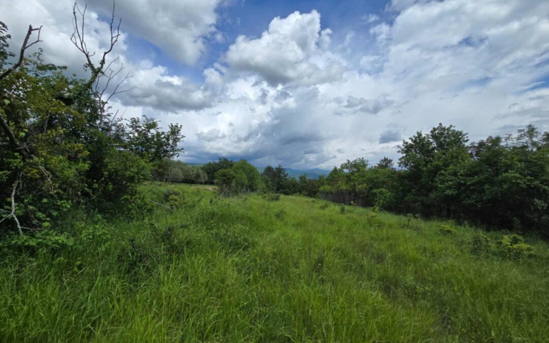 Buzet – poljoprivredno zemljište – NEDOSTUPNO