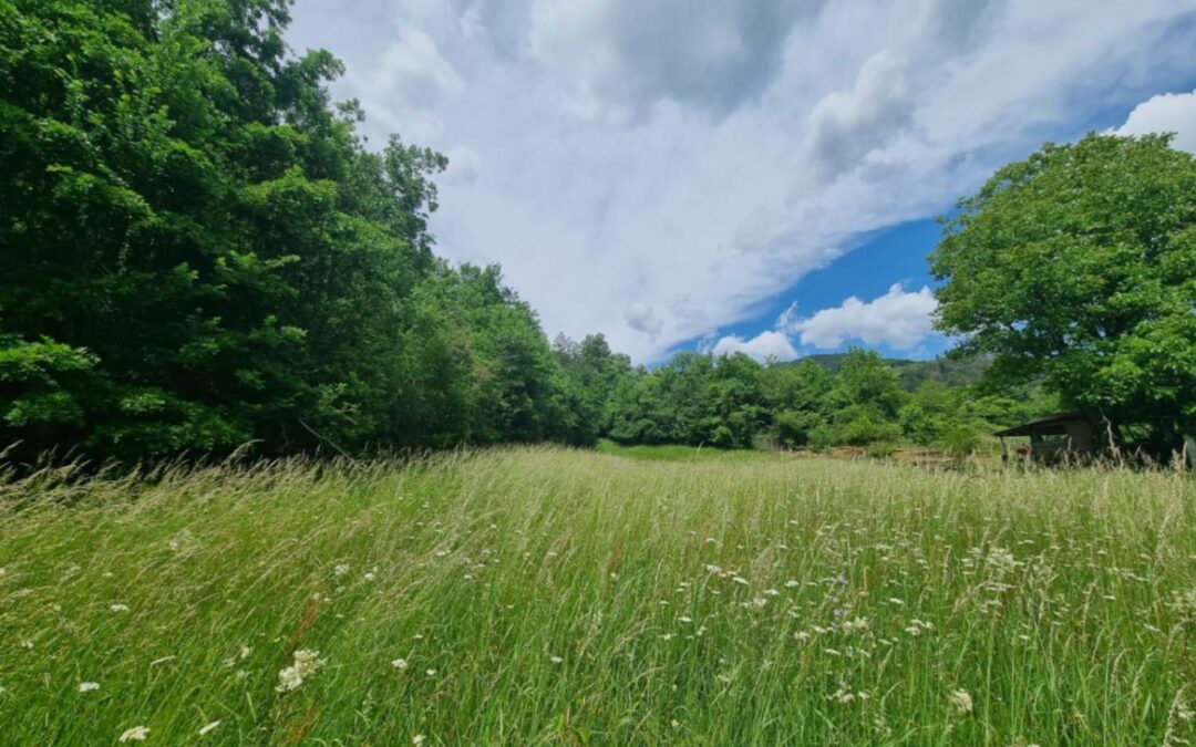 Oprtalj – građevinsko zemljište