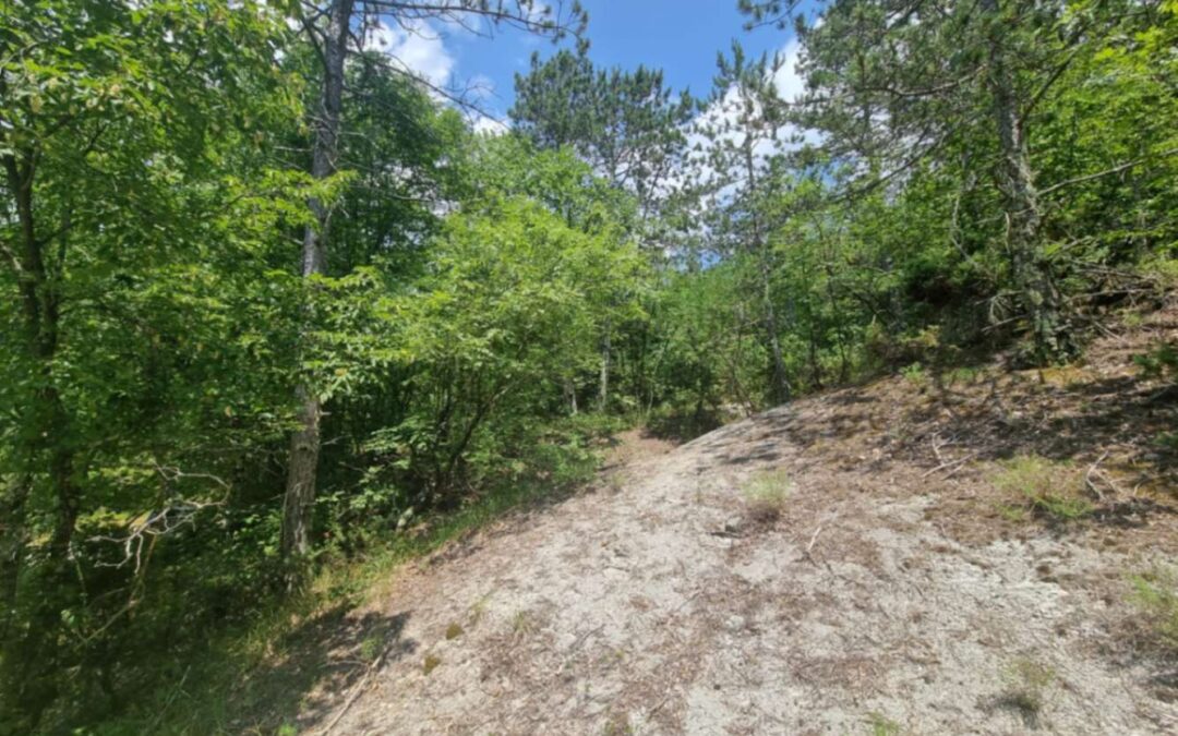 Hum – poljoprivredno zemljište