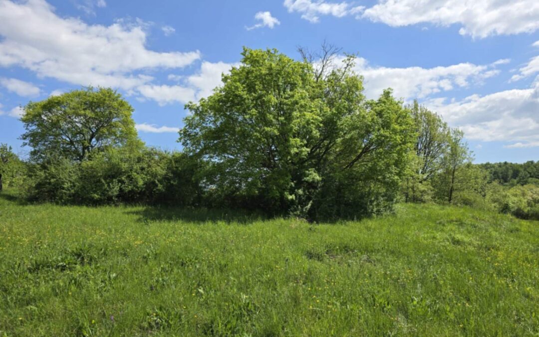 Hum – poljoprivredno zemljište