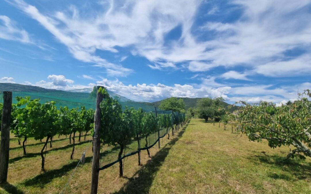 Buzet – građevinsko zemljište