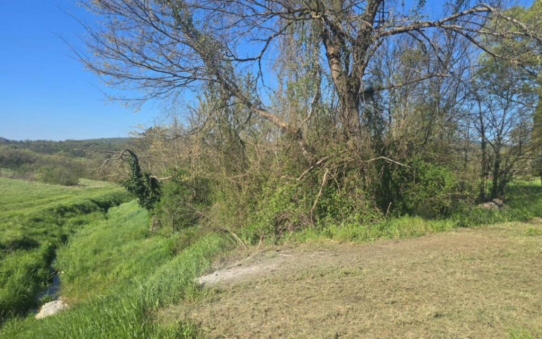 Buzet – građevinsko zemljište – SAMO KOD NAS