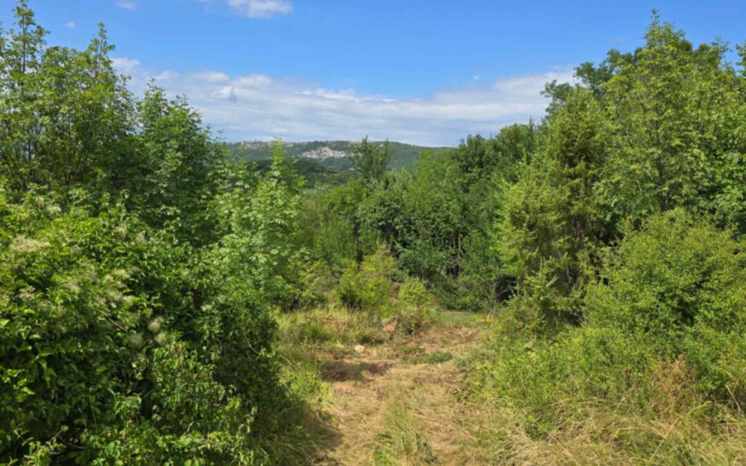 Buzet – građevinsko zemljište – SAMO KOD NAS