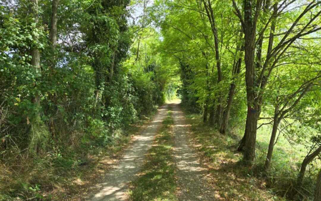 Buzet – građevinsko zemljište – SAMO KOD NAS