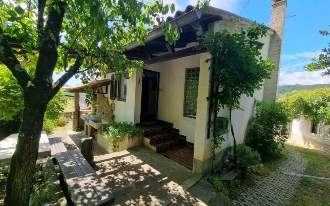 Buzet – kuća s imanjem