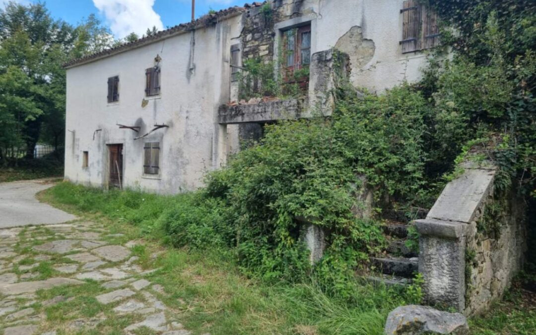 Buzet – kamena kuća sa stajom i građevinskim zemljištem