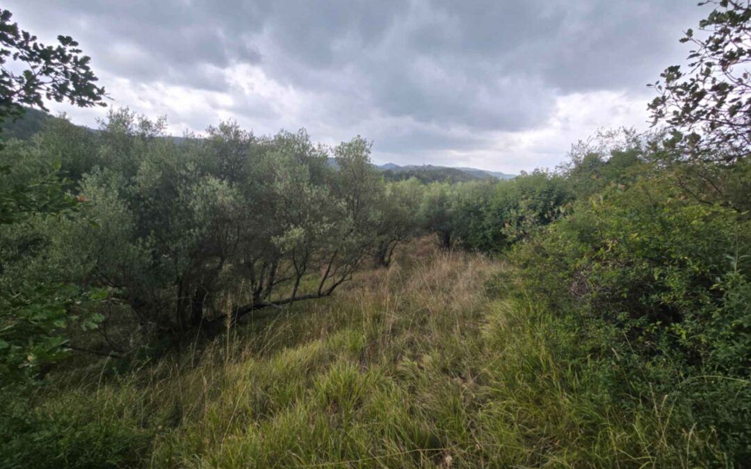 Draguć – građevinsko zemljište s ucrtanim objektima