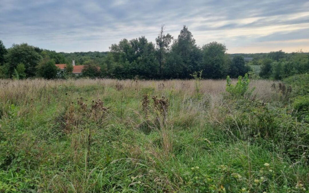 Brtonigla – građevinsko zemljište