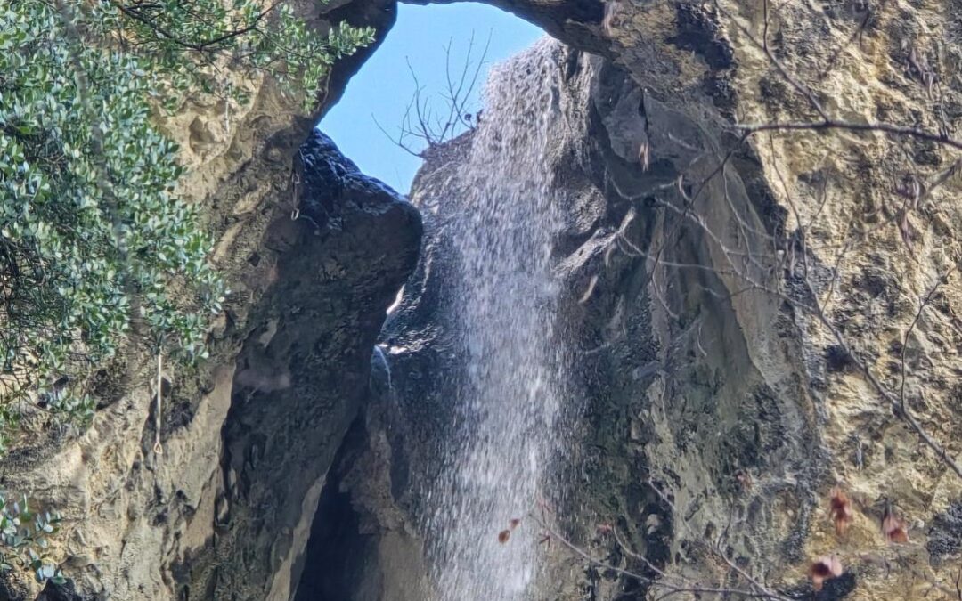 Buzet- poljoprivredno zemljište na slapu