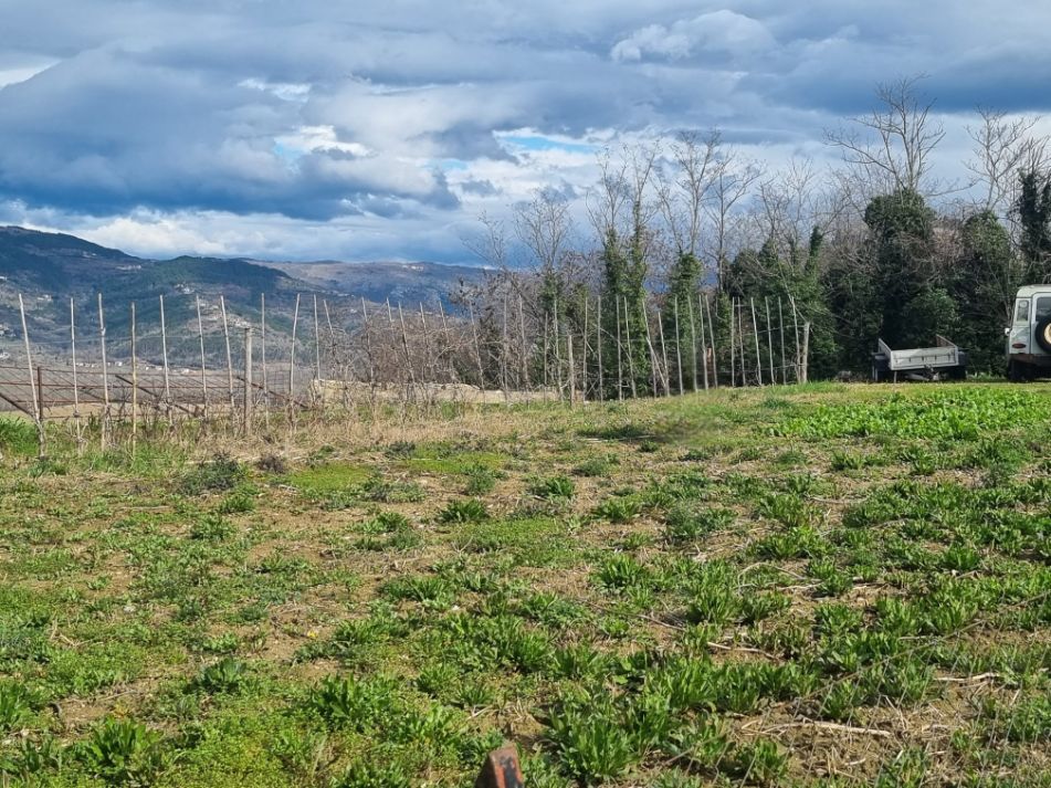Motovun - građevinsko zemljište - Possesso nekretnine