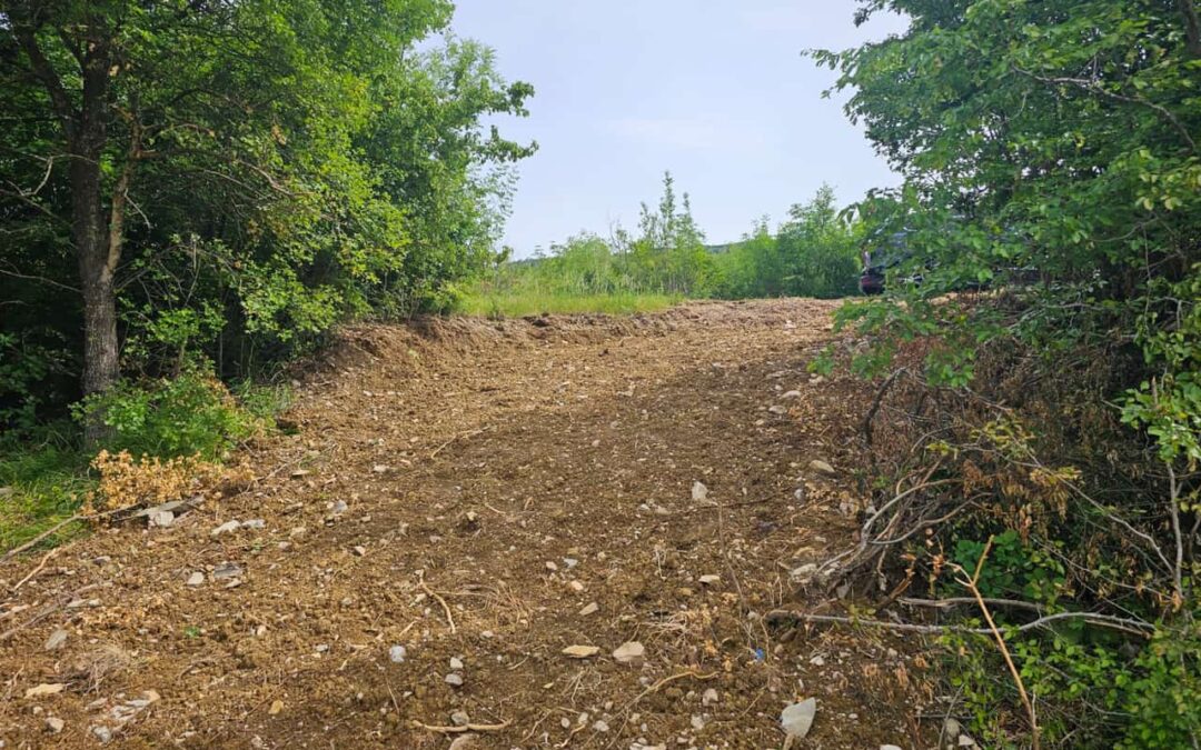 Buzet – poljoprivredno zemljište – SAMO KOD NAS