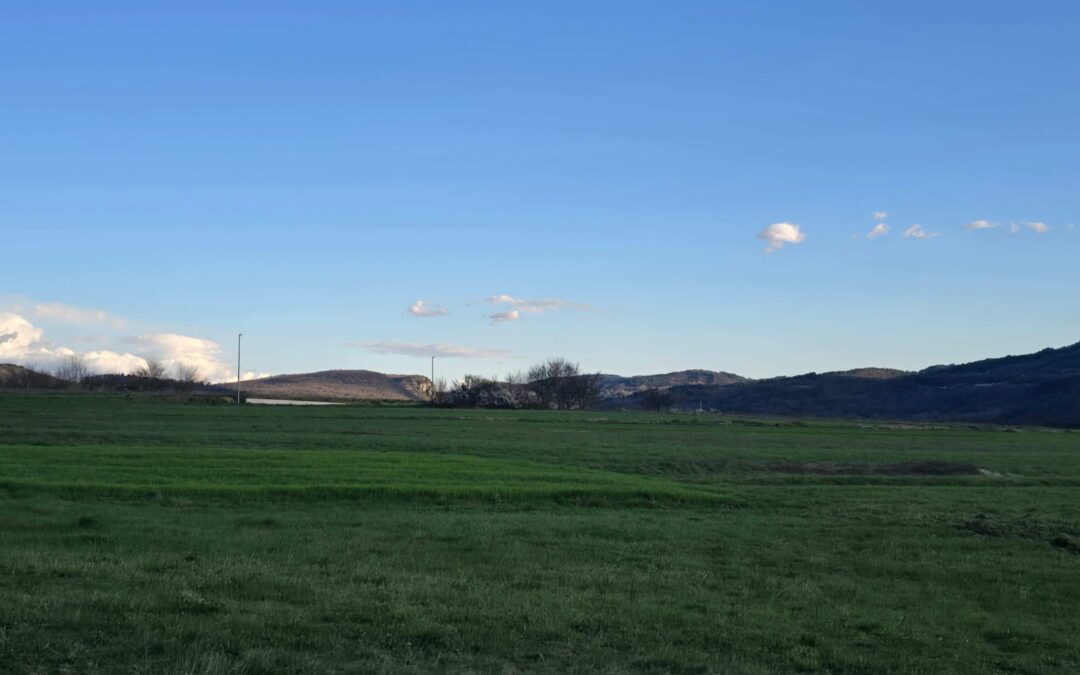 Buzet – poljoprivredno zemljište