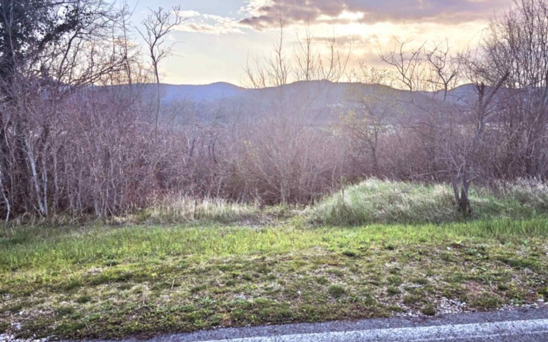 Buzet – poljoprivredno zemljište – SAMO KOD NAS