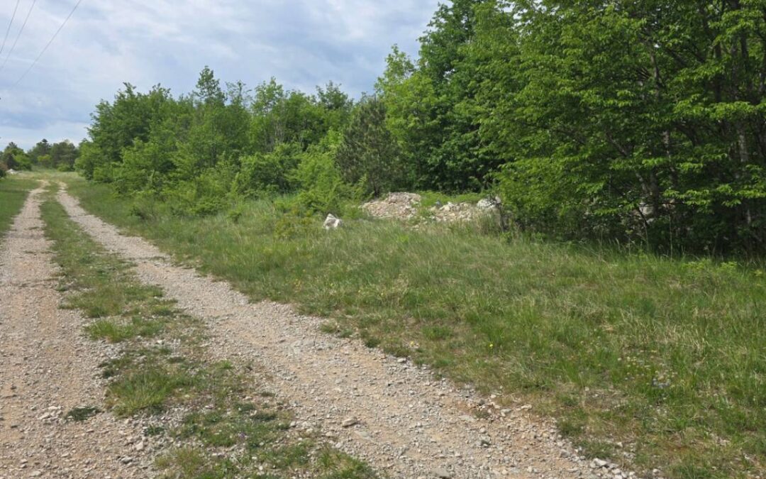 Lupoglav – industrijsko zemljište – CIJENA NA UPIT