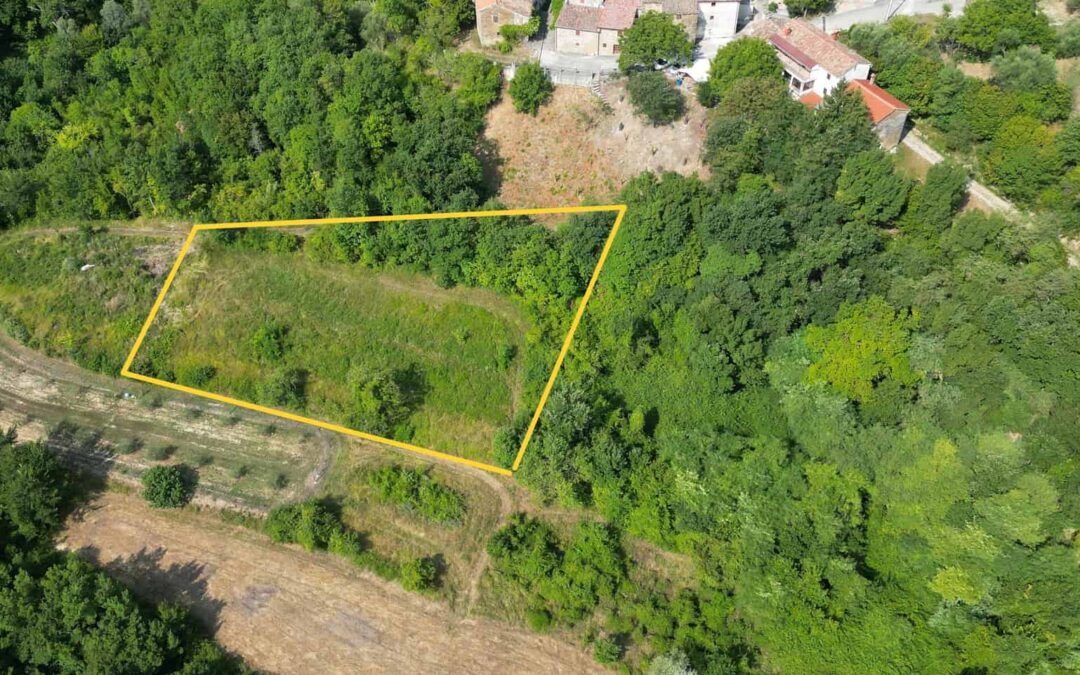 Buzet – poljoprivredno zemljište na rubu urbanizacije