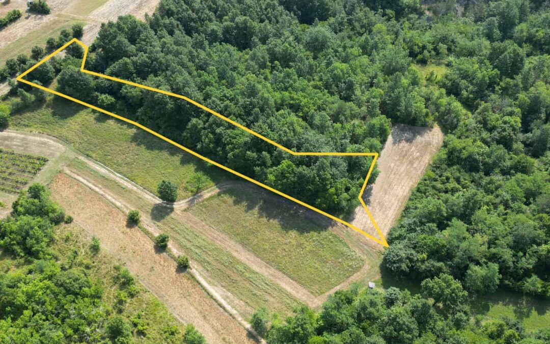 Buzet – poljoprivredno zemljište – SAMO KOD NAS