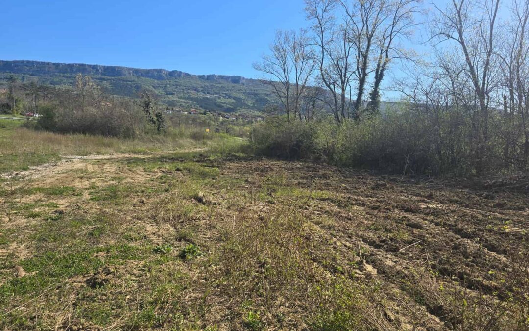 Buzet – industrijsko zemljište