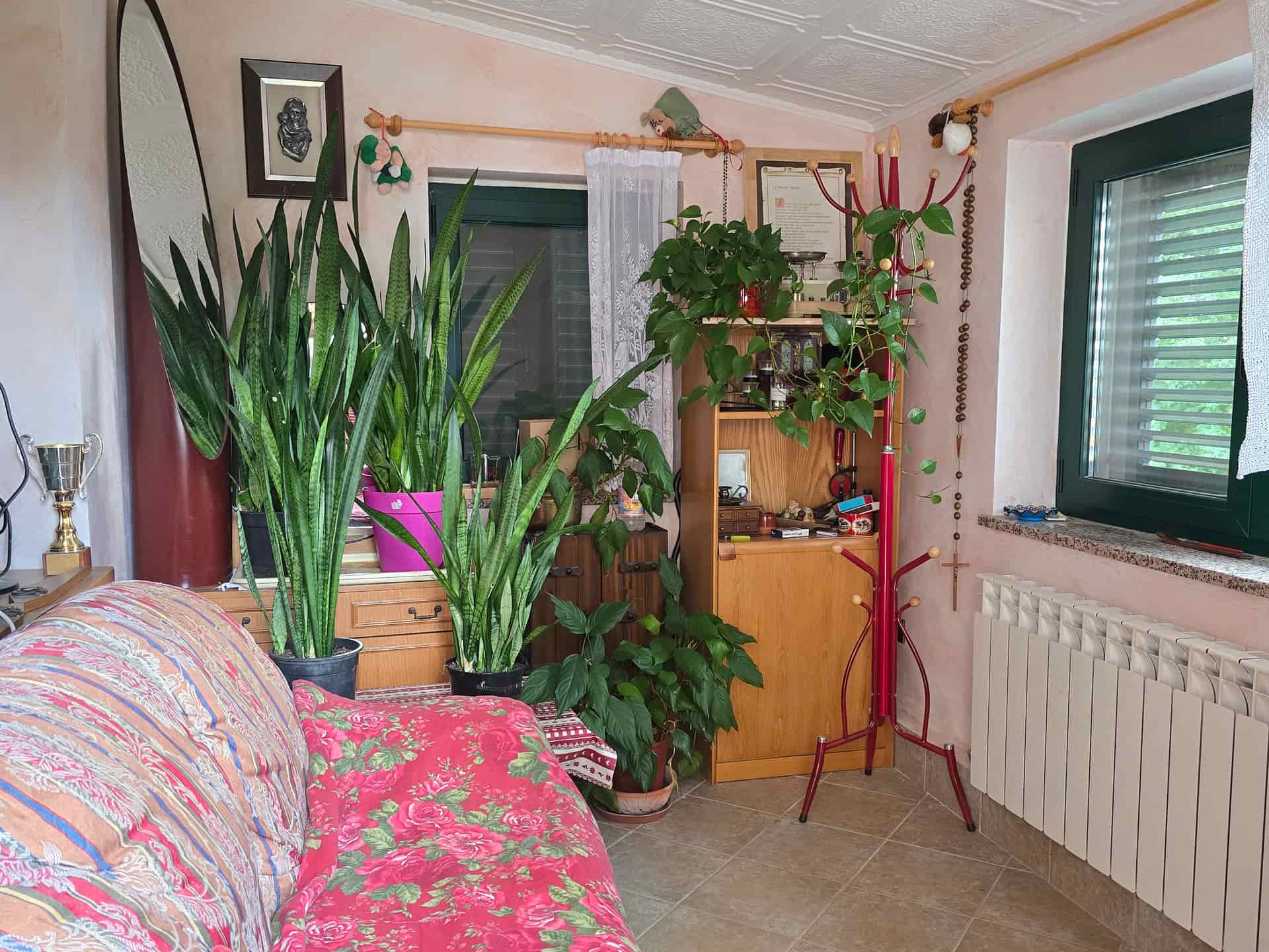 Buzet - imanje - Possesso nekretnine Istra